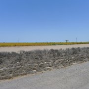 Going inland  through Ciudad Insurgentes : Baja2011